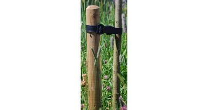 tree stake