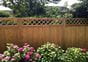 Diamond Trellis On Fencing
