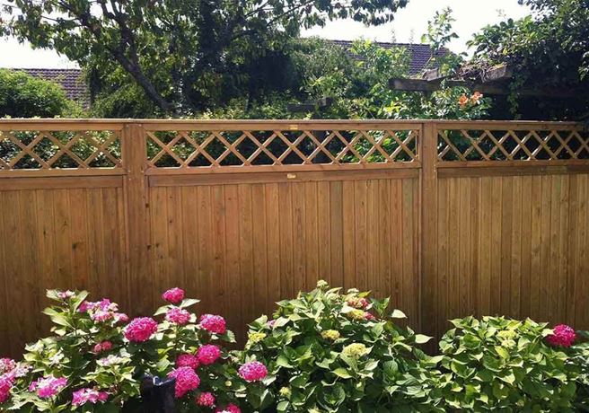 Diamond Trellis On Fencing