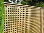 lattice-trellis-premium-fence-panels