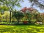 Premium Garden Trellis Panels