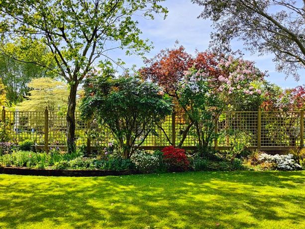 Premium Garden Trellis Panels