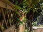 privacy diamond trellis
