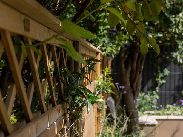 privacy diamond trellis