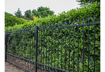 Garden Security and Safety Fences