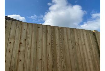 What does ex timber mean