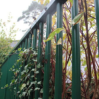 vertical bar - sentry