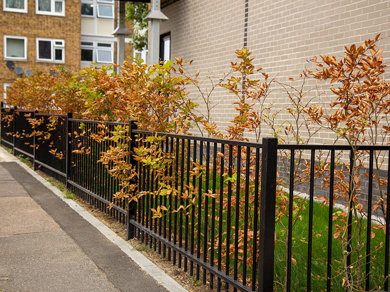 Metal fencing