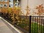 Metal fencing