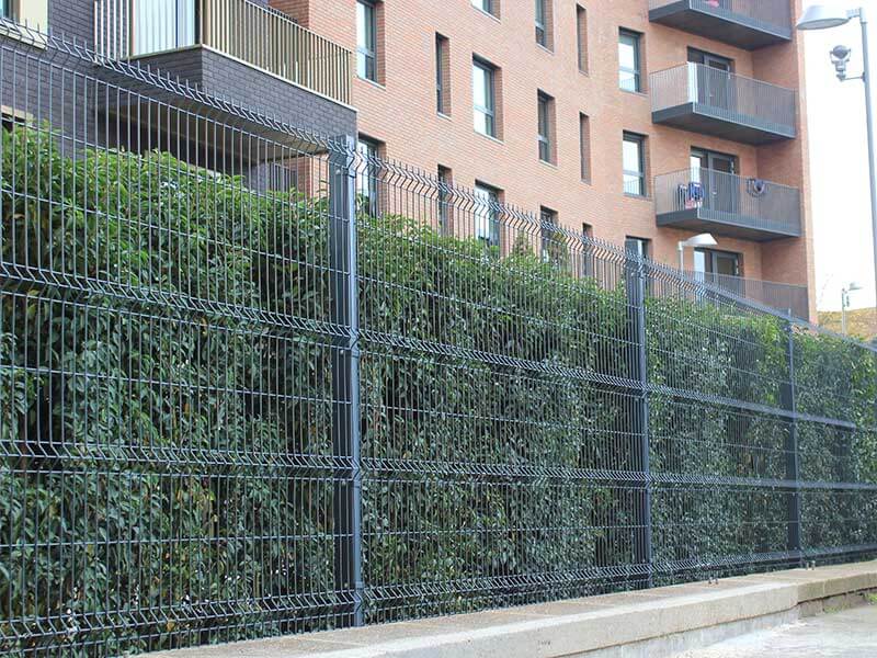 Euroguard Regular V Mesh Fencing