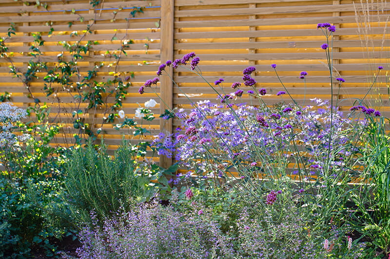 garden jobs for spring