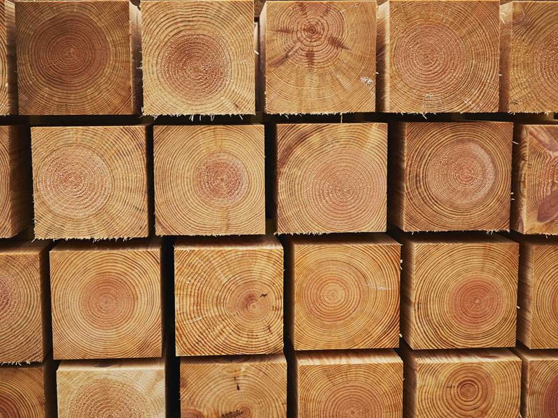 freshly treated timber