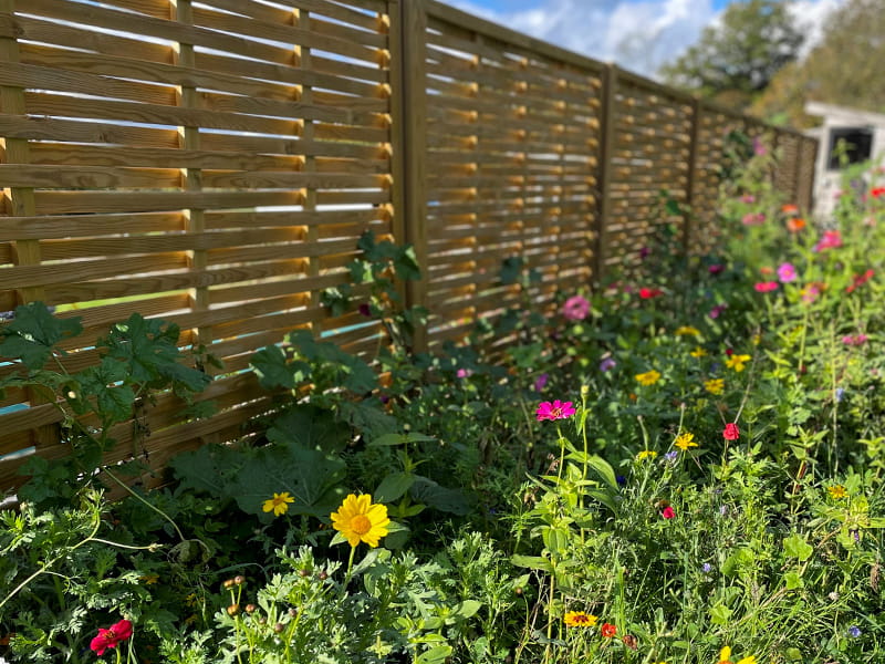 Crafted Landscapes Jacksons Approved Installer