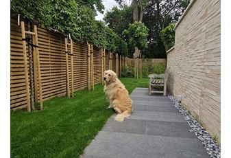 Garden trends 2026