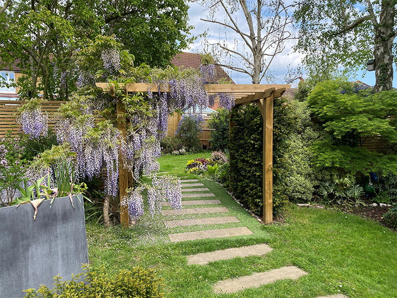 Wooden pergola with wisteria