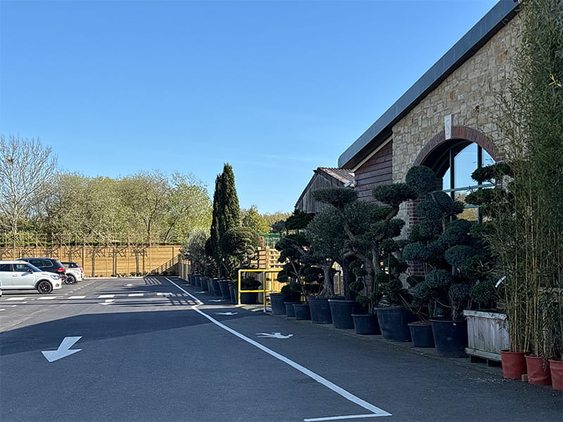 Acoustic fencing for garden centre car park