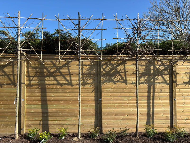 Acoustic fencing for nursery car park