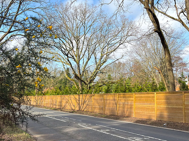 Creating Quieter Living with Acoustic Fencing