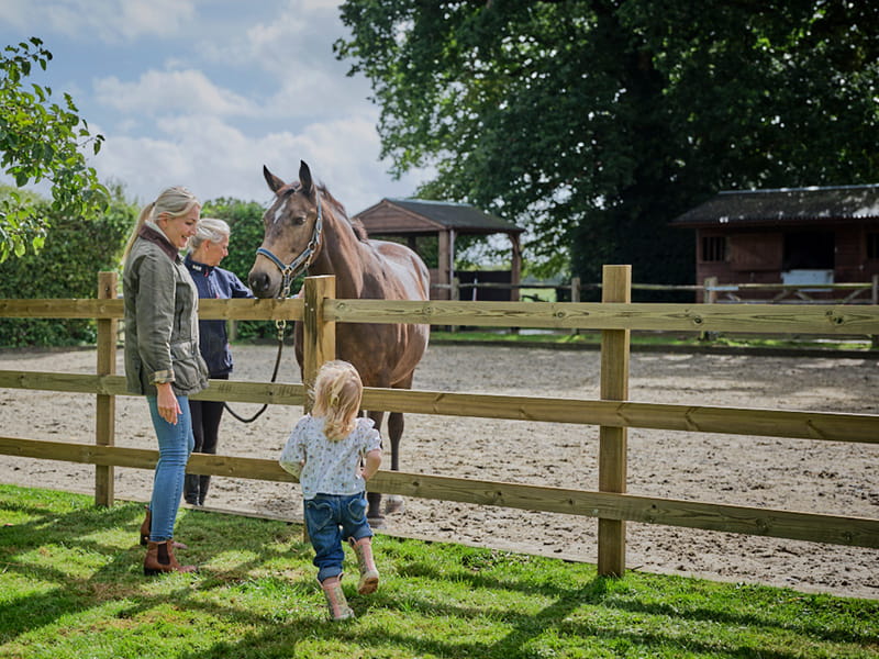 Post and rail fencing for wind prone areas
