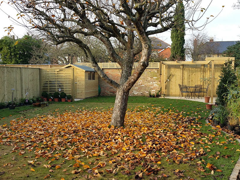 chores for the garden in autumn