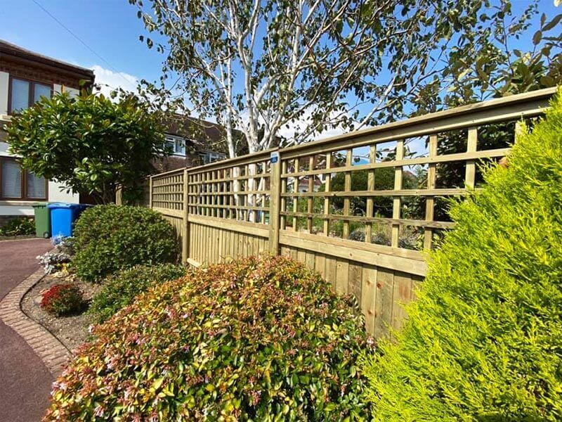 be creative with trellis fence design