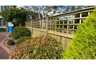 Trellis with Featherboard fencing