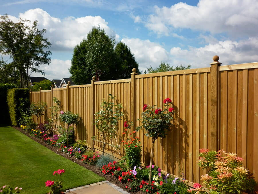 Solid fence with climbing plants