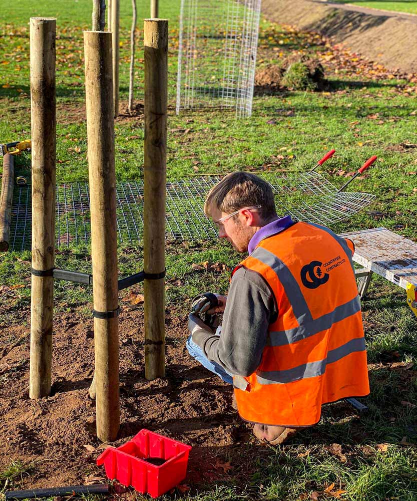 Jacksons fencing tree stakes