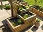 Landscaping timber