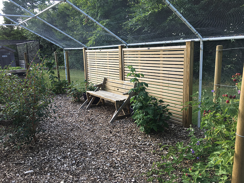 Green house with jacksons venetian panel