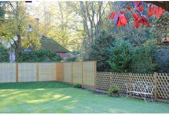 A Garden Full of Jacksons’ Products