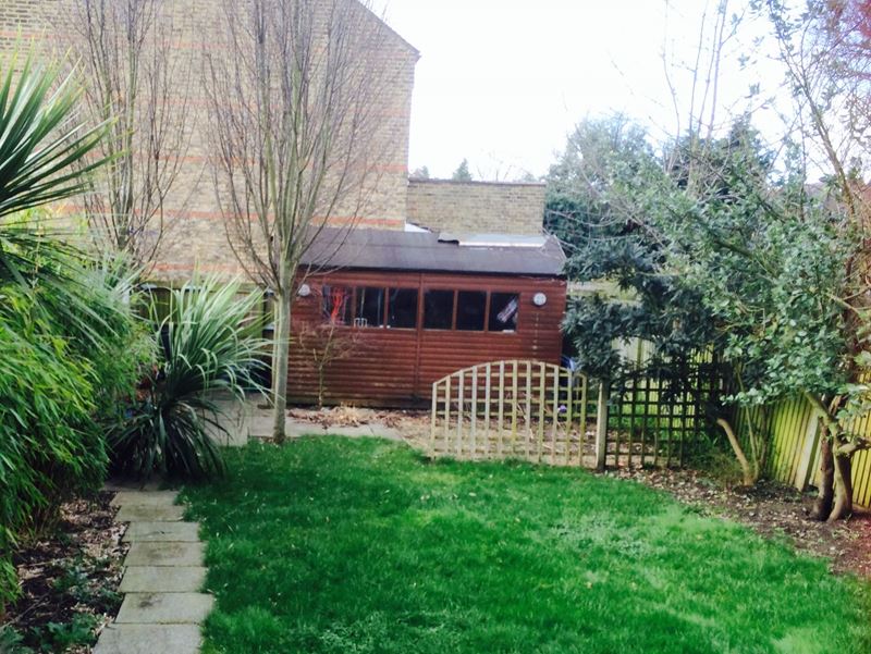 garden rennovation