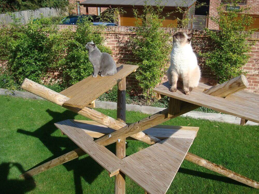 Cats climbing frame made from timber