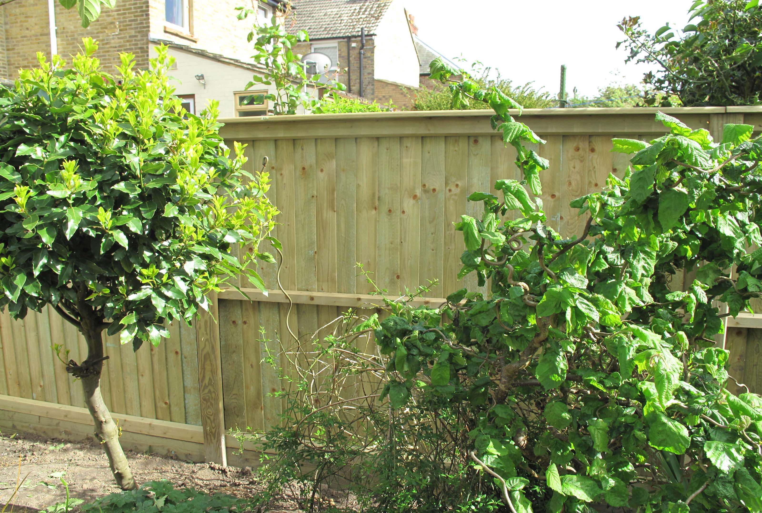 Featherboard replaces old broken fence