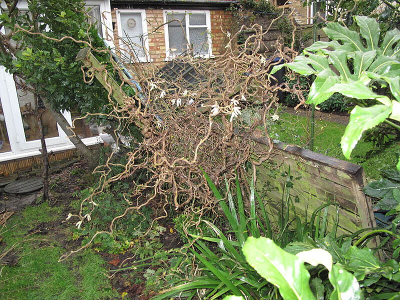 Broken cheap fence