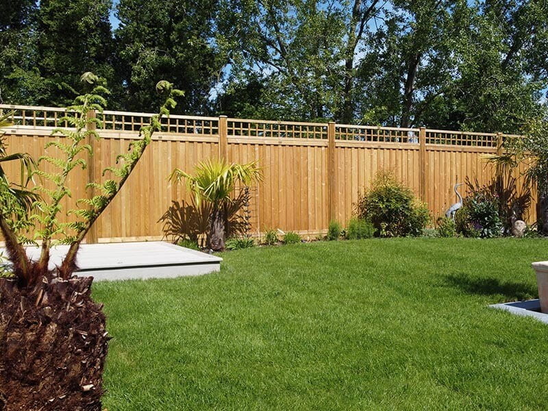 garden design idea trellis on fencing