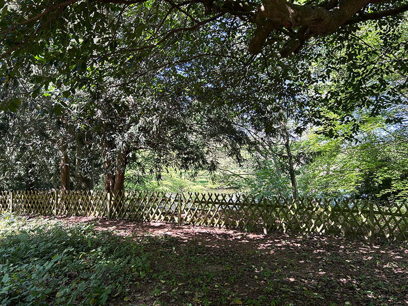 Long lasting timber fencing