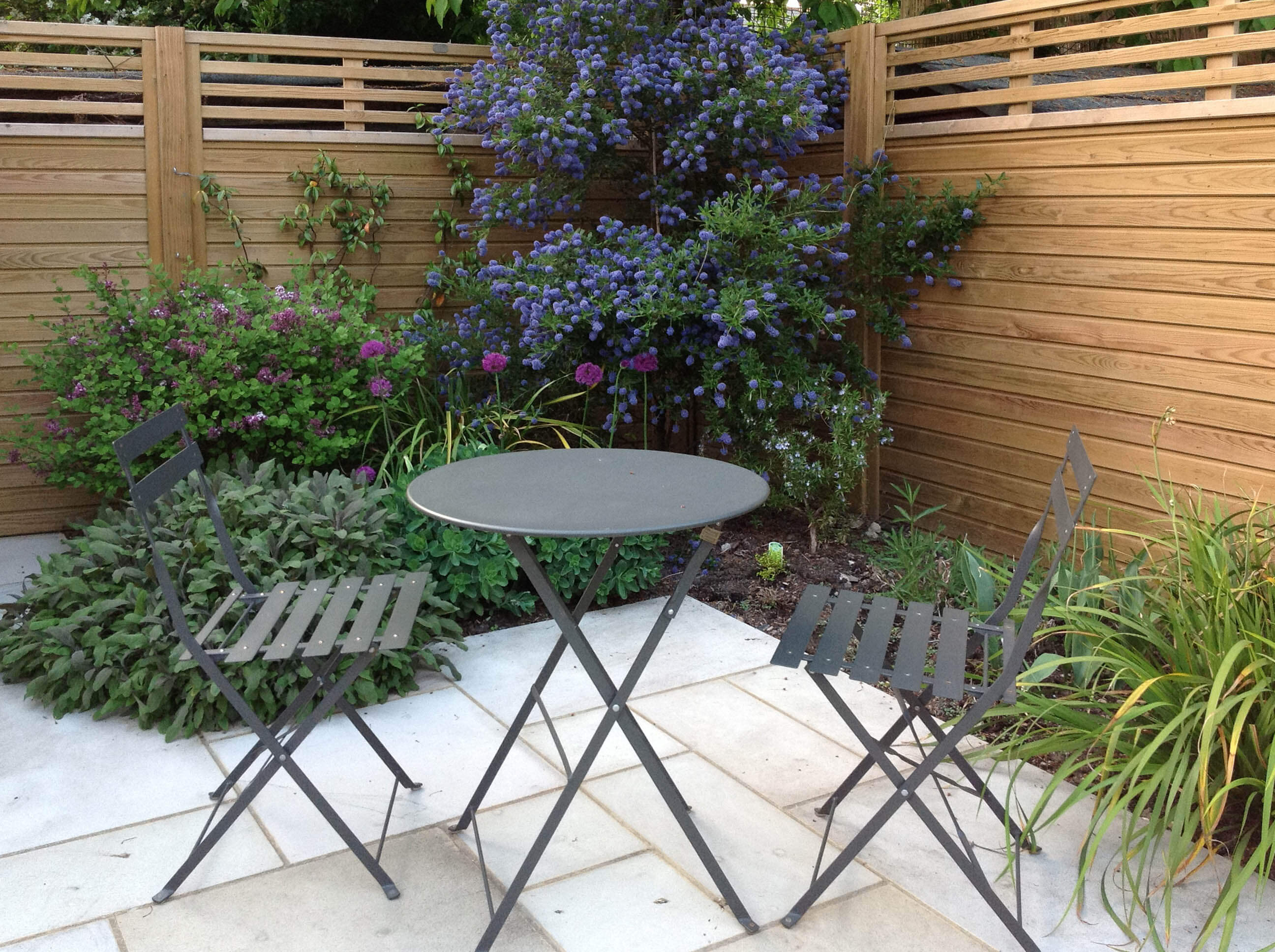 Contemporary Canterbury combi Fence panels in modern garden