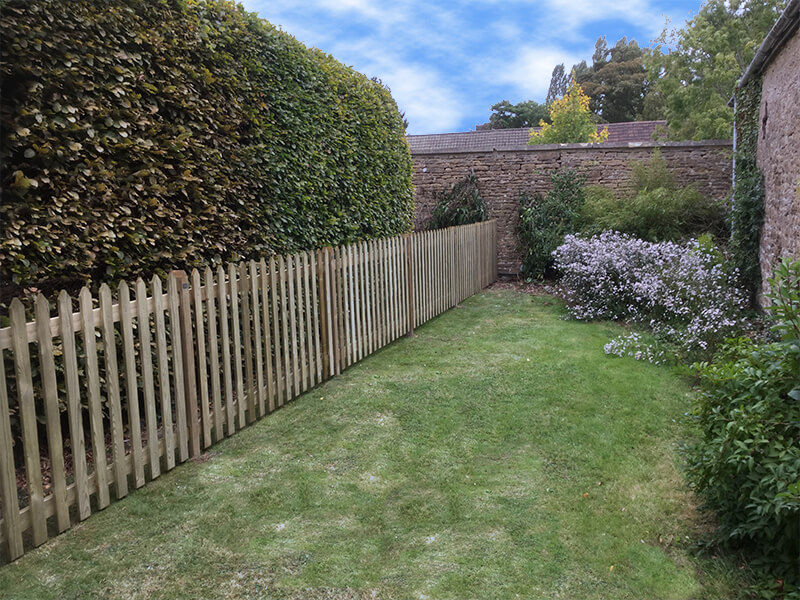 dog fencing ideas