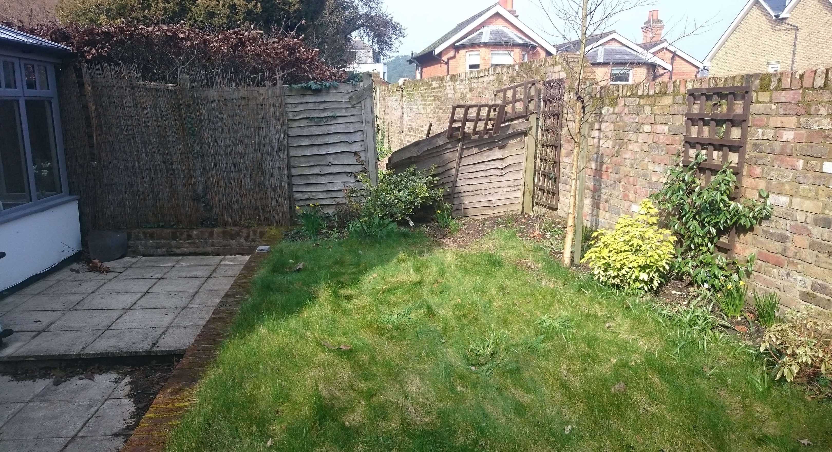 garden transformation
