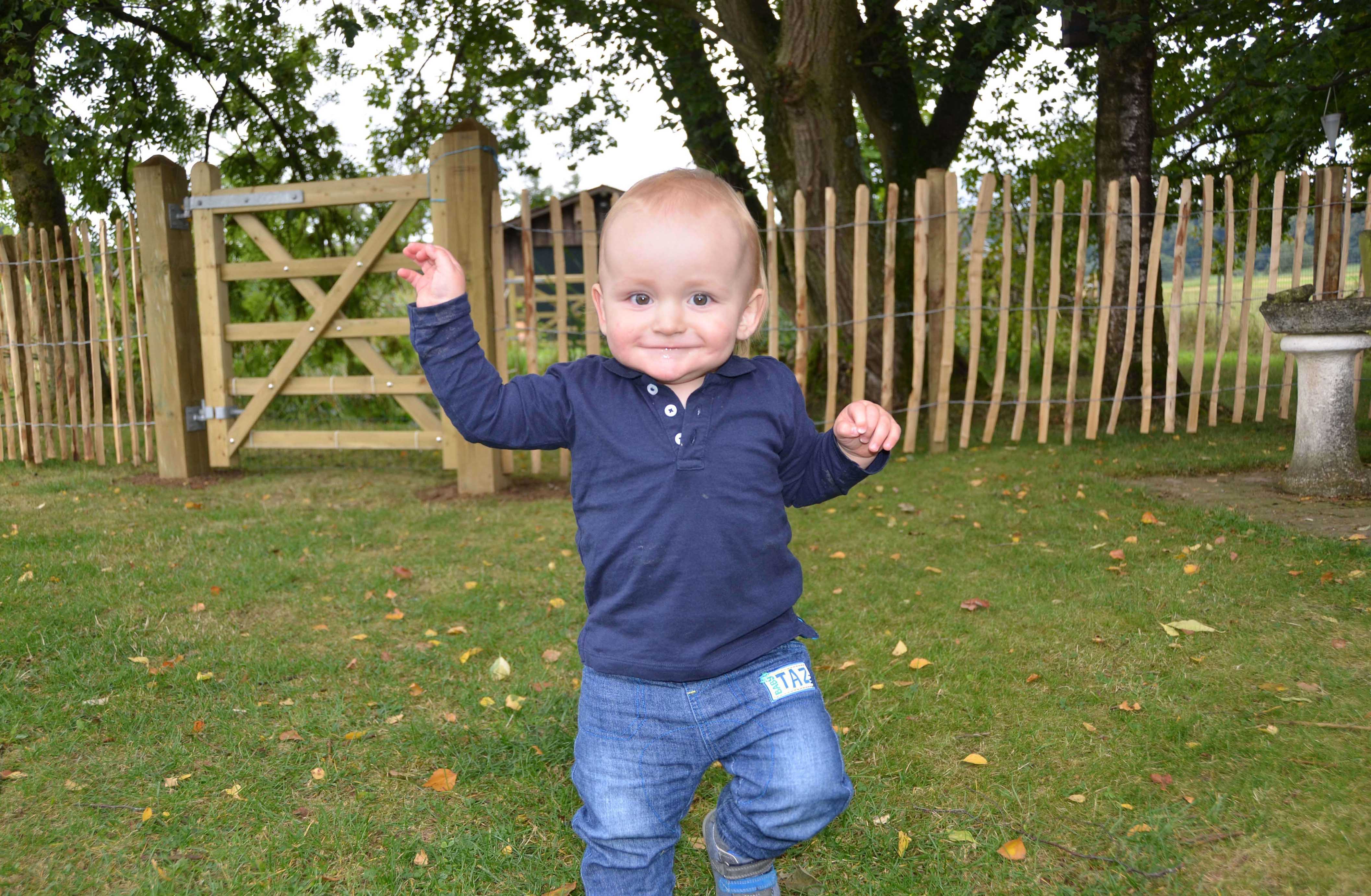 Franks grandson with chesnut fencing