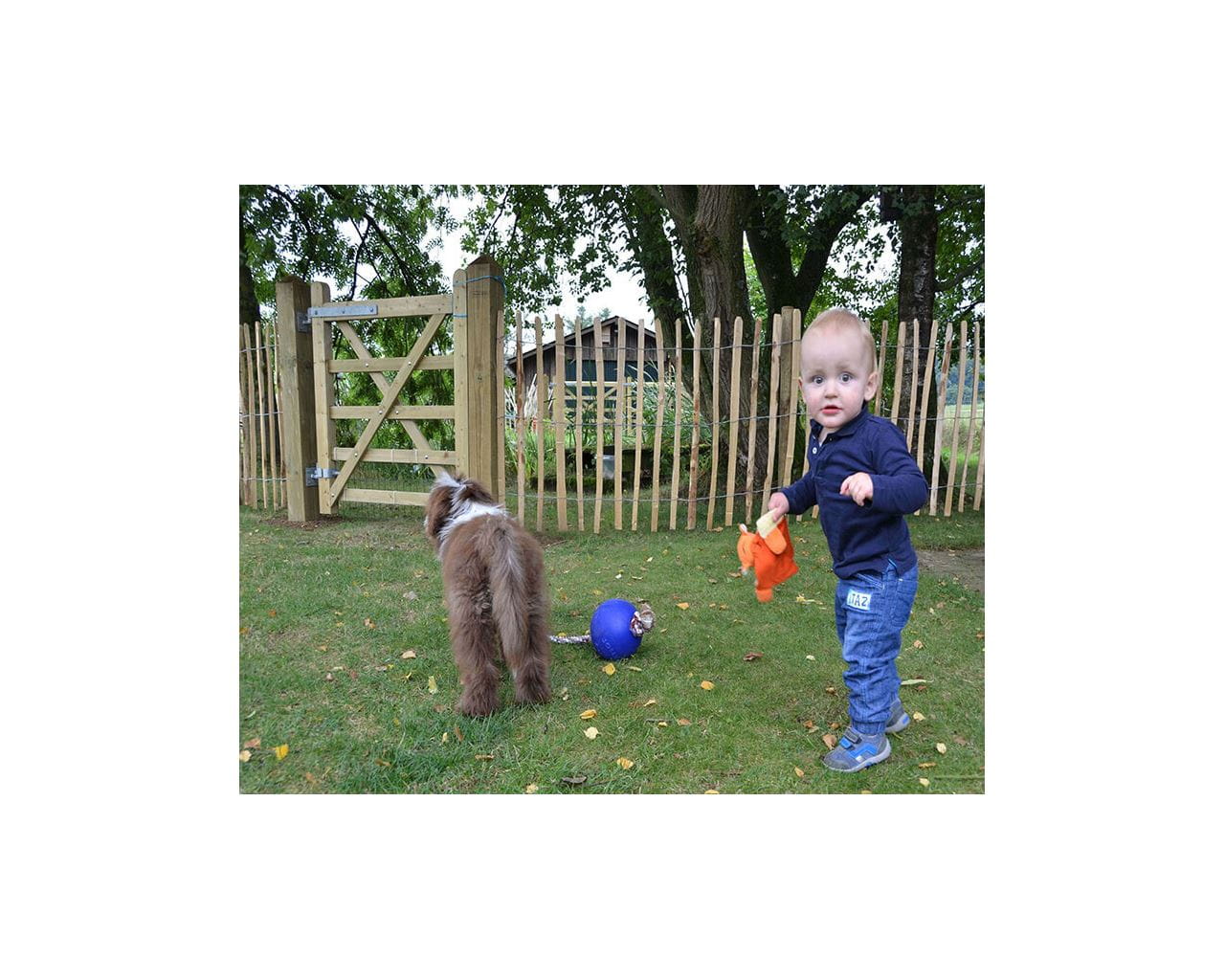 Grandson and puppy with the fencing