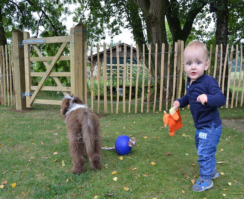 Grandson and puppy with the fencing