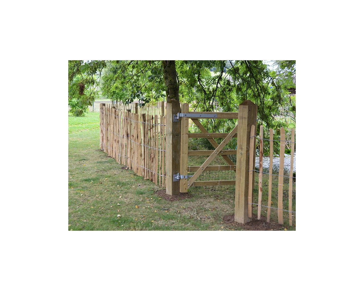 single uni-gate and chestnut fencing