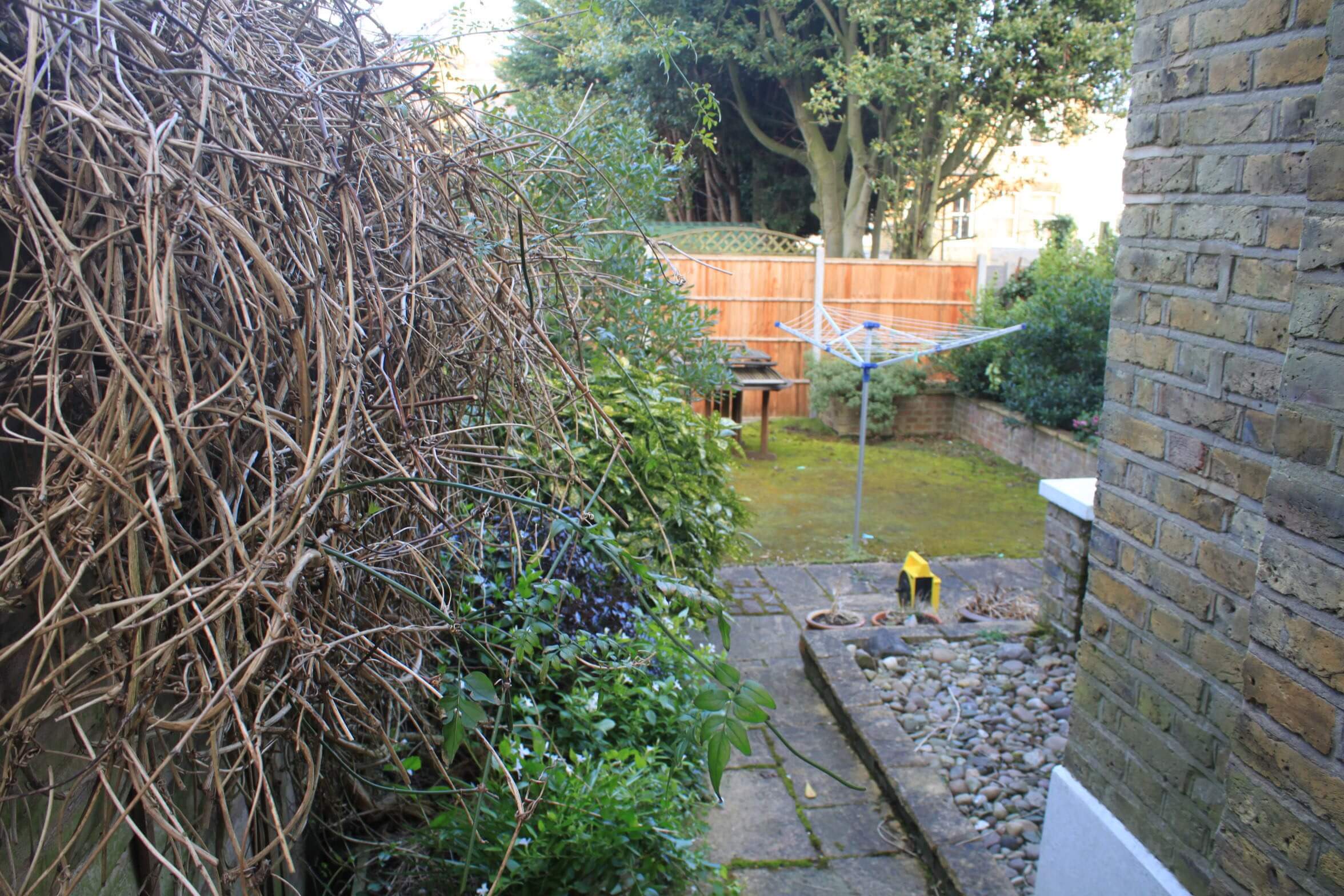 Garden from side view before redesign