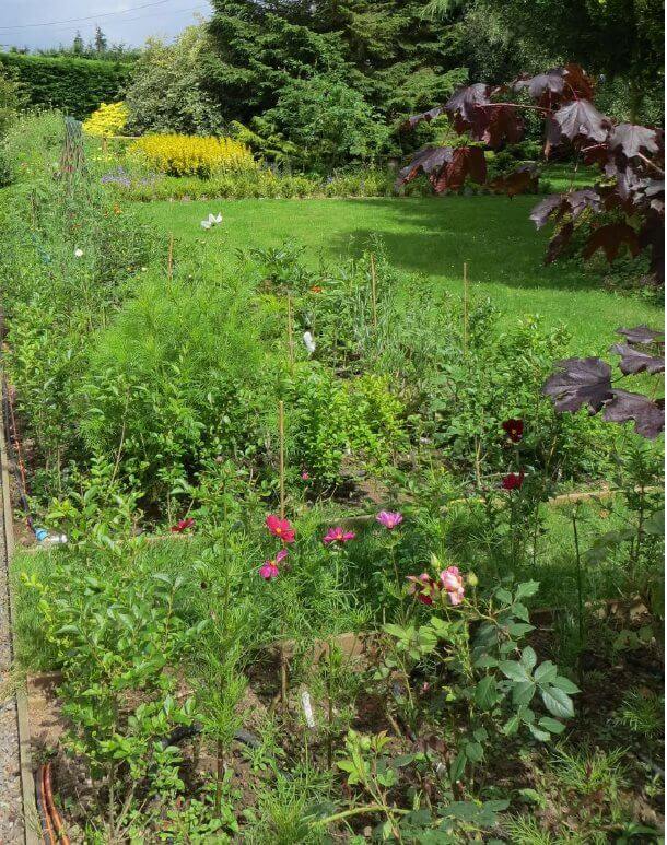 long view of planting before Works began