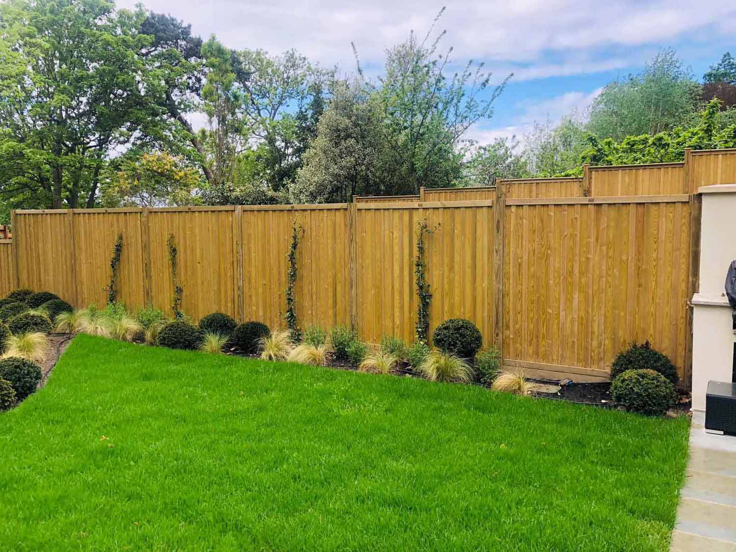 Modern fence panels