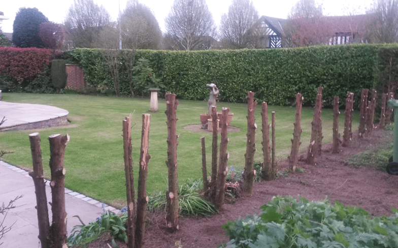 happy customers on both sides of the fence
