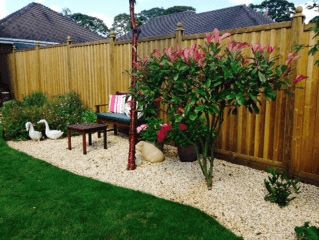 Completed Garden and fence panels