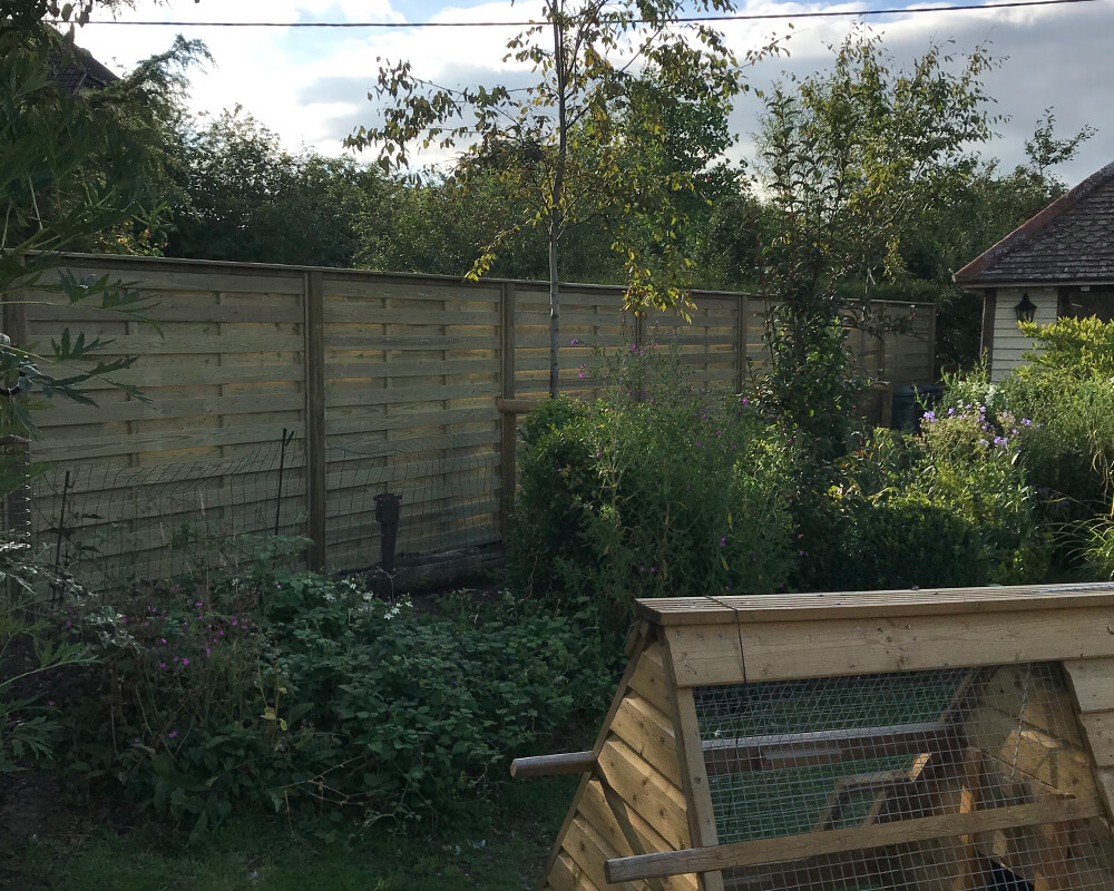Hit and miss fence panels in garden